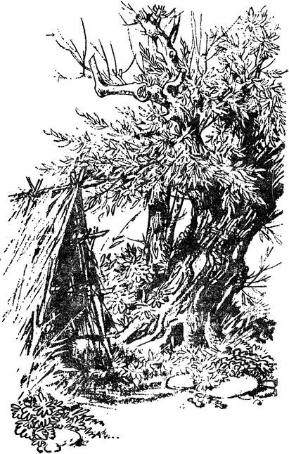 Повести и рассказы - i_007.jpg