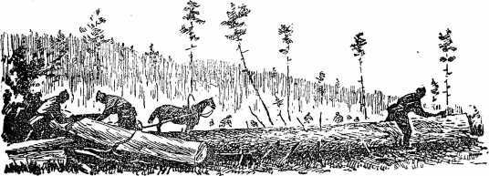 Солдатский подвиг<br />(Рассказы) - i_026.jpg