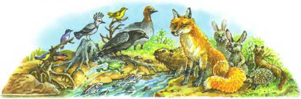 Сказки про Бабу Ягу - i_027.jpg