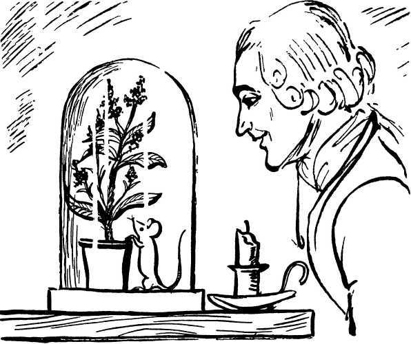 У порога великой тайны - i_014.jpg