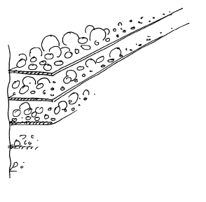 Большая книга позитивной психологии - i_001.png