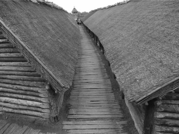 История происхождения русов и славян - i_016.jpg