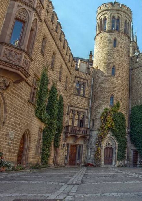 Чарли Бон и Пустынный волк - i_008.jpg