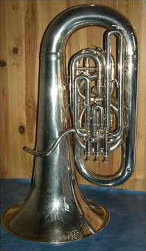 Трени-ян (с иллюстрациями) (СИ) - i_006.jpg