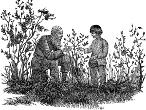 Русские исторические рассказы<br />(Совр. орф.) - i_048.png