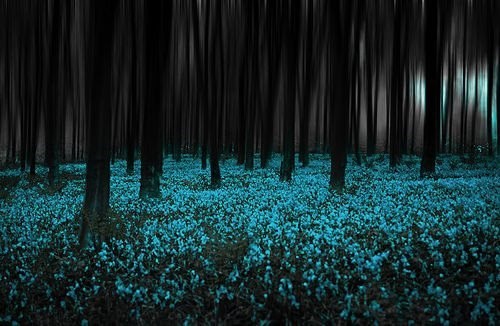 Хозяин Острова (СИ) - img7.jpg