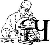 Невидимые друзья и враги - i_035.png