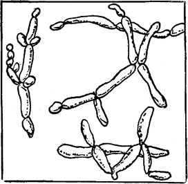 Невидимые друзья и враги - i_047.png