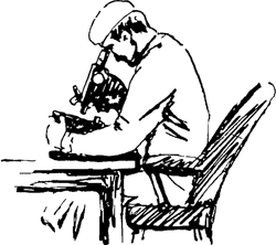 Невидимые друзья и враги - i_054.png