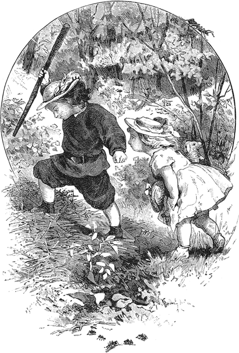 Приключения Вани и Маши<br />(Современная орфография) - i_006.png