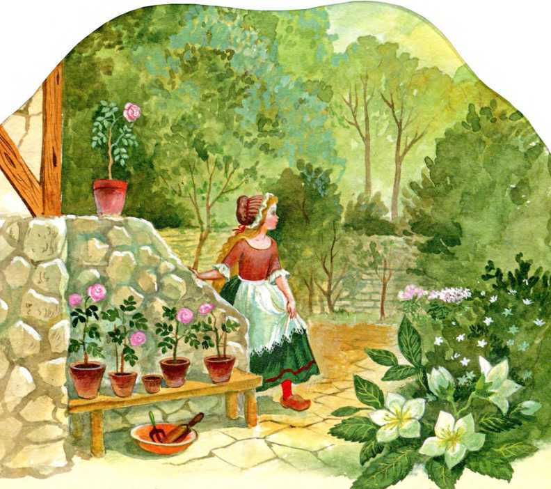 Мирабель<br />(Сказка) - i_004.jpg