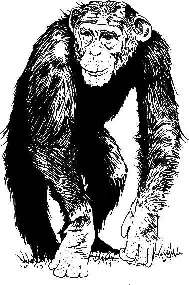 Новая энциклопедия Относительного и Абсолютного знания - i_049.png