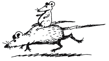 Энциклопедия Относительного и Абсолютного знания - _039.png