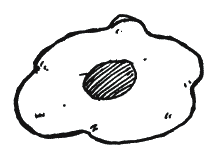 Энциклопедия Относительного и Абсолютного знания - _042.png