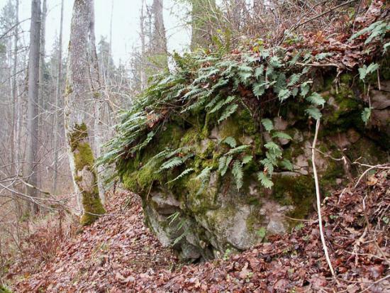 Северские земли (СИ) - _1.jpg