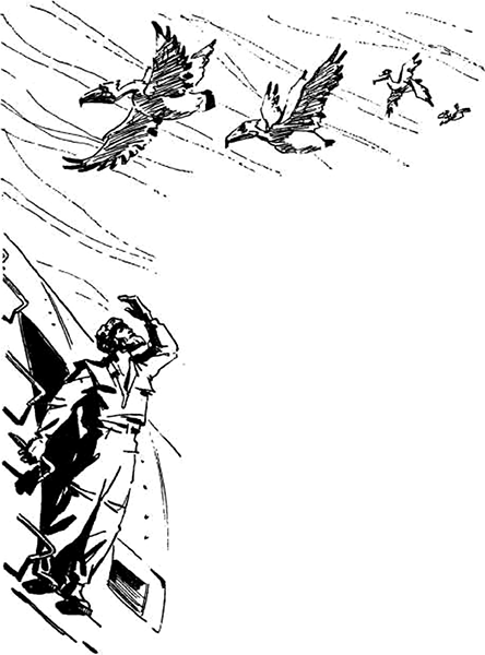 Голубая планета<br />(Сборник) - i_020.png