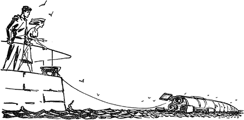 Голубая планета<br />(Сборник) - i_034.png