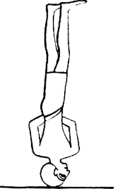 Микерия<br />(Нильская Лилия) - i_051.png