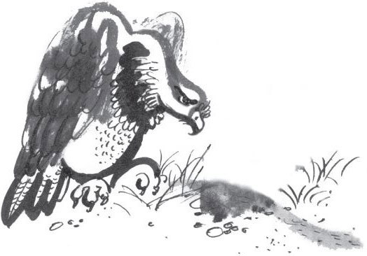 Брат-юннат - i_005.jpg