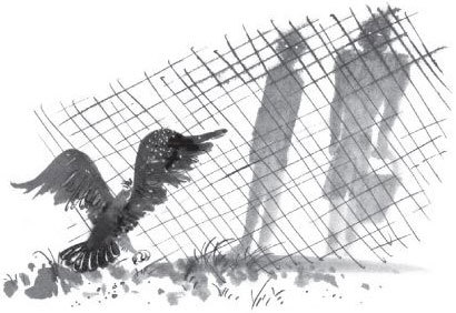 Брат-юннат - i_007.jpg