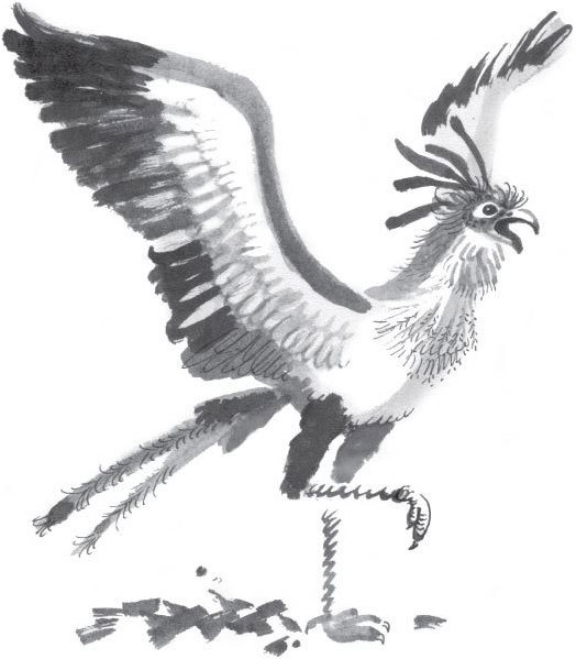 Брат-юннат - i_009.jpg