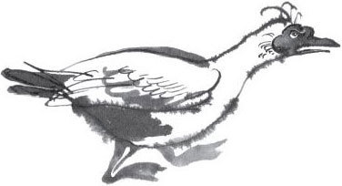 Брат-юннат - i_010.jpg