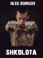 Борисов Олег Николаевич - Школота (СИ)