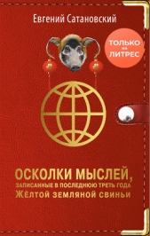 Осколки мыслей, записанные в последнюю треть года Жёлтой Земляной Свиньи - автор Сатановский Евгений Янович 