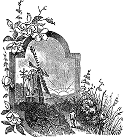 В дебрях Севера<br />(Приключения волка, медведя и лисицы) - i_005.png