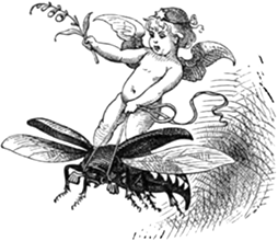 Сказки З. Топелиуса, профессора Александровского университета в Гельсингфорсе - i_016.png