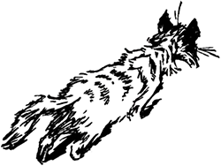 Про Митю и Витю<br />(Рассказы) - i_014.png