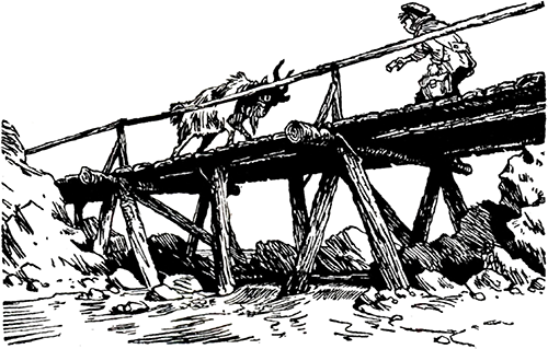 Про Митю и Витю<br />(Рассказы) - i_034.png