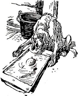 Про Митю и Витю<br />(Рассказы) - i_036.png