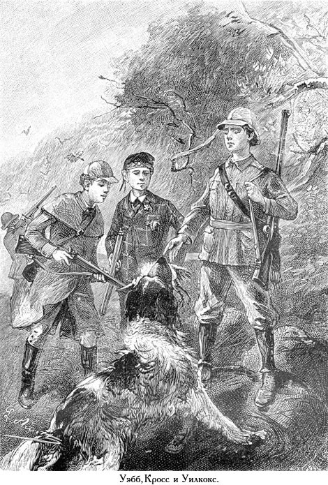 Два года каникул (с иллюстрациями) - _016.jpg