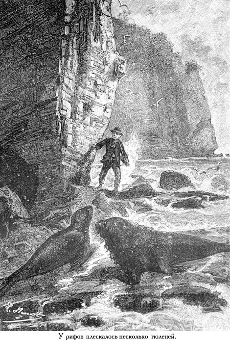 Два года каникул (с иллюстрациями) - _018.jpg