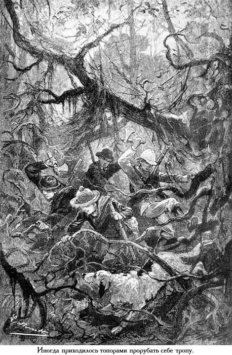 Два года каникул (с иллюстрациями) - _023.jpg