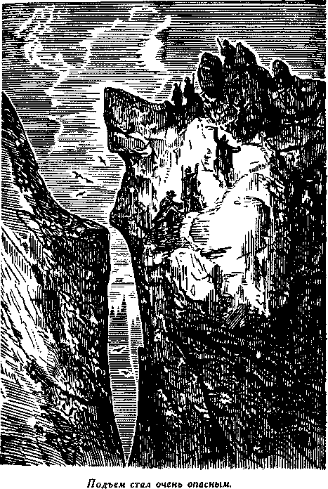 Дети капитана Гранта(изд.1955) - i_015.png