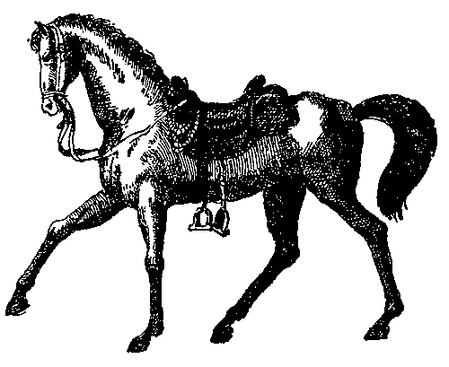 Дети капитана Гранта (худ. В. Клименко) - pic_23.png