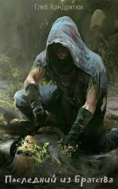 Последний из Братства. Первые шаги (СИ) - автор Кондратюк Глеб 