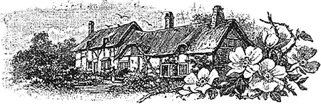 В стране контрастов - i_081.png