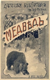 Медведь и другие рассказы - автор Шелгунова Людмила Петровна 