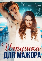 Игрушка для мажора (СИ) - автор Рейн Карина 