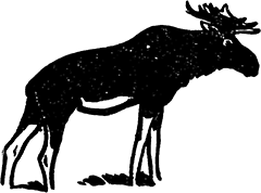 Выстрел в лесу<br />(Рассказ) - i_005.png