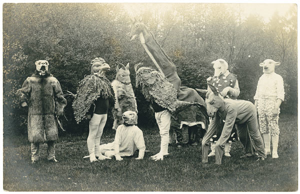 Собрание птиц - i_005.jpg