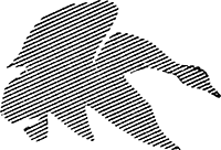 Звено принимает решение<br />(Рассказы) - i_015.png