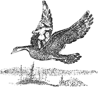 Добрый молодец<br />(Сказки народов СССР) - i_021.png