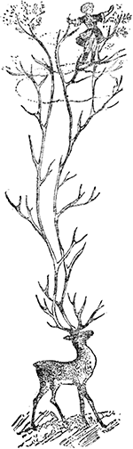 Добрый молодец<br />(Сказки народов СССР) - i_028.png