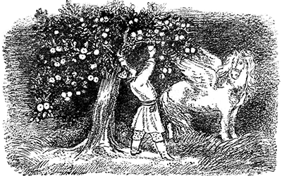 Добрый молодец<br />(Сказки народов СССР) - i_042.png