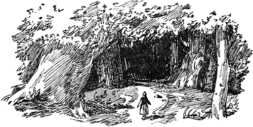 Волшебная игла<br />(Сказки чешских и словацких писателей) - i_002.png