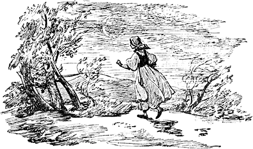 Волшебная игла<br />(Сказки чешских и словацких писателей) - i_021.png